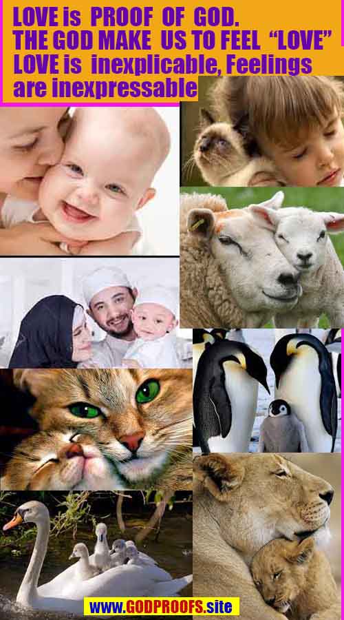 Proofs of god, god-evidences, god-real, god-exists, god-signs, god-proofs, evidences of god