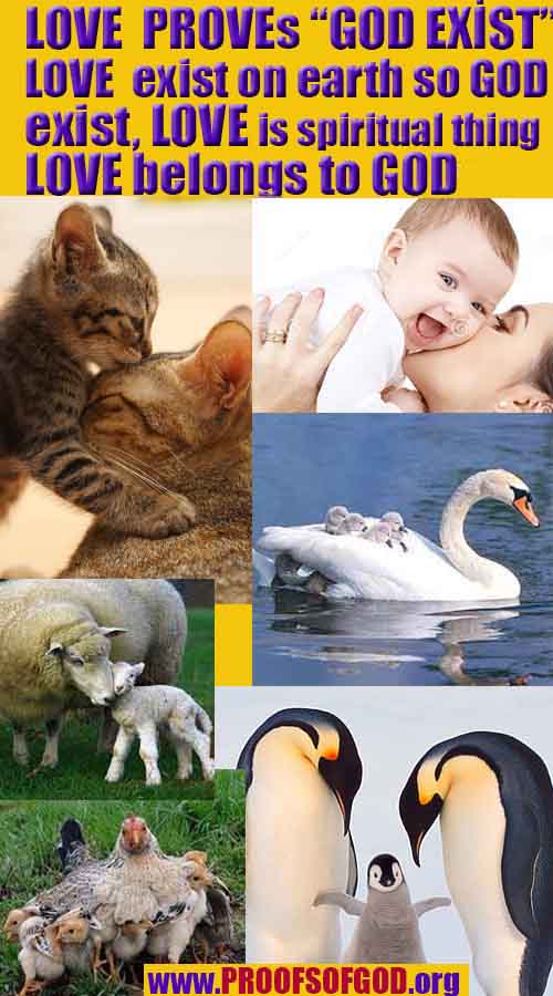 Proofs of god, god-evidences, god-real, god-exists, god-signs, god-proofs, evidences of god