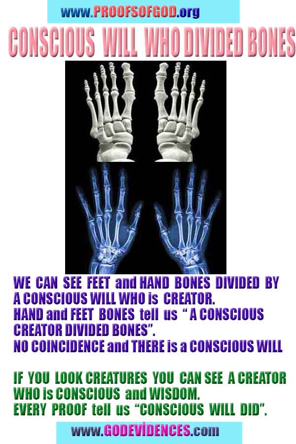 Proofs of god, god-evidences, god-real, god-exists, god-signs, god-proofs, evidences of god