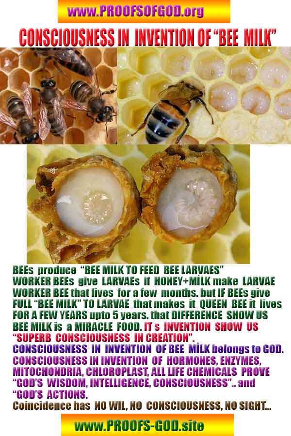 Proofs of god, god-evidences, god-real, god-exists, god-signs, god-proofs, evidences of god