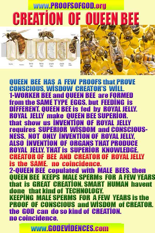 Proofs of god, god-evidences, god-real, god-exists, god-signs, god-proofs, evidences of god