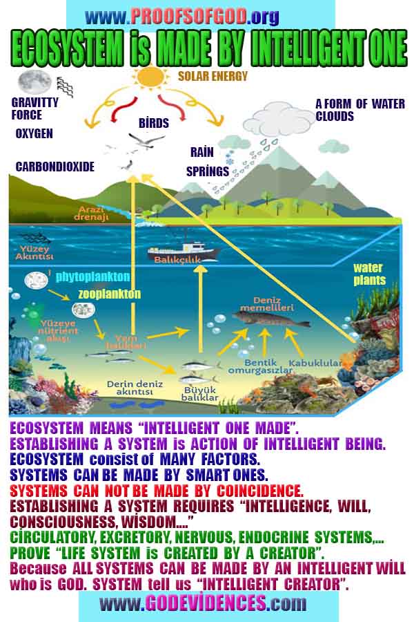 Proofs of god, god-evidences, god-real, god-exists, god-signs, god-proofs, evidences of god