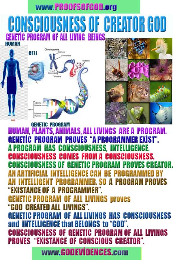 Proofs of god, god-evidences, god-real, god-exists, god-signs, god-proofs, evidences of god