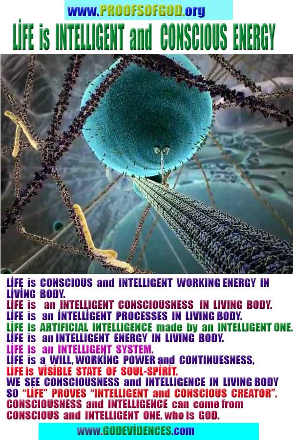 Proofs of god, god-evidences, god-real, god-exists, god-signs, god-proofs, evidences of god