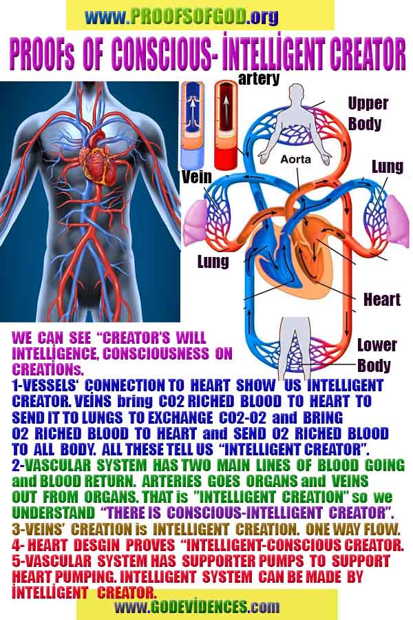 Proofs of god, god-evidences, god-real, god-exists, god-signs, god-proofs, evidences of god