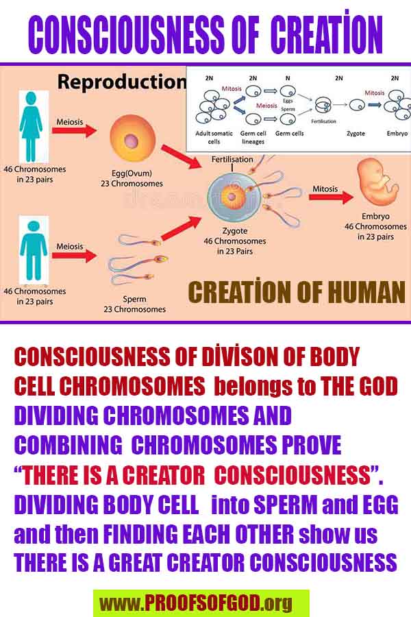 Proofs of god, god-evidences, god-real, god-exists, god-signs, god-proofs, evidences of god