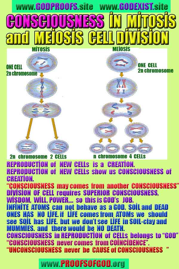 Proofs of god, god-evidences, god-real, god-exists, god-signs, god-proofs, evidences of god