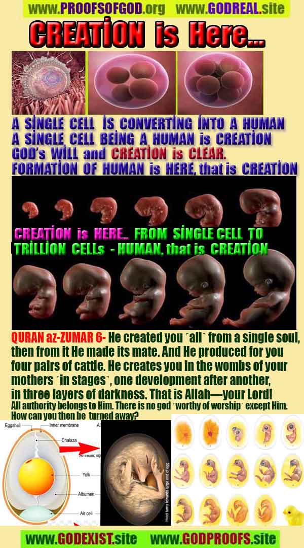 Proofs of god, god-evidences, god-real, god-exists, god-signs, god-proofs, evidences of god