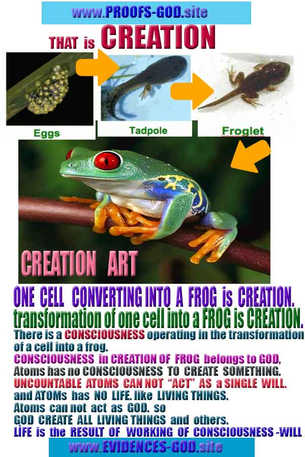 Proofs of god, god-evidences, god-real, god-exists, god-signs, god-proofs, evidences of god