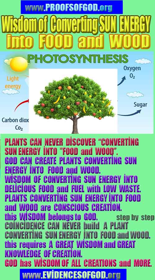 Proofs of god, god-evidences, god-real, god-exists, god-signs, god-proofs, evidences of god