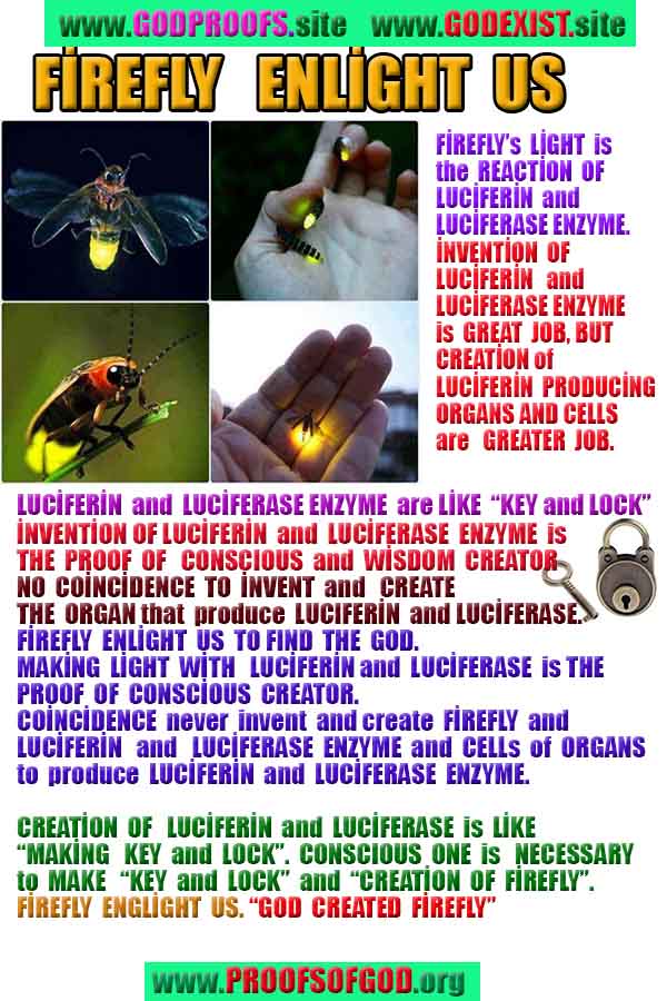 Proofs of god, god-evidences, god-real, god-exists, god-signs, god-proofs, evidences of god