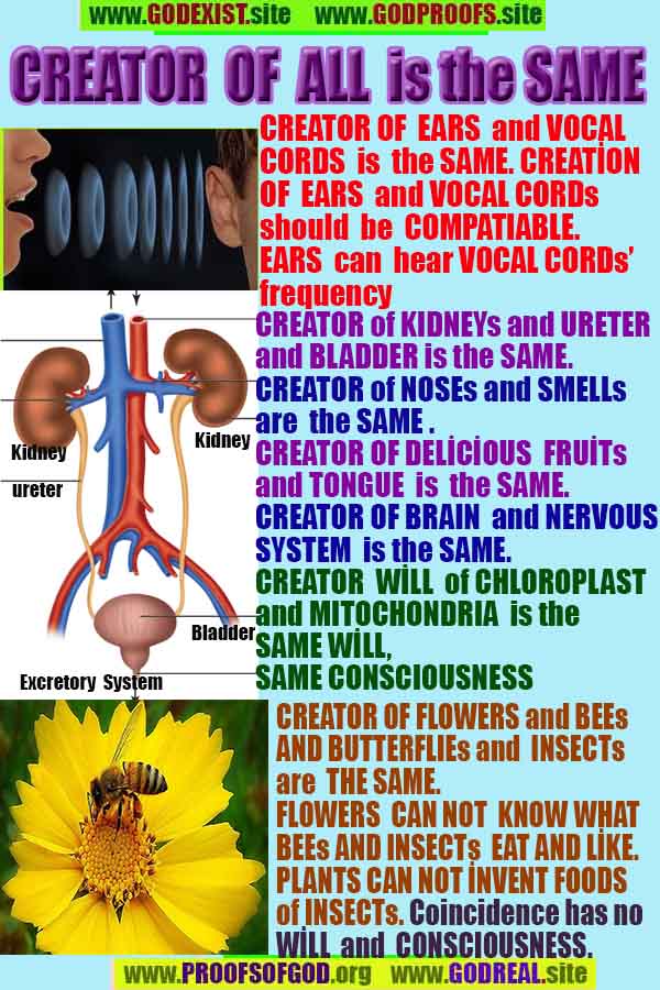 Proofs of god, god-evidences, god-real, god-exists, god-signs, god-proofs, evidences of god