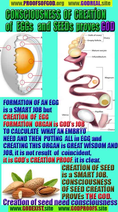 Proofs of god, god-evidences, god-real, god-exists, god-signs, god-proofs, evidences of god