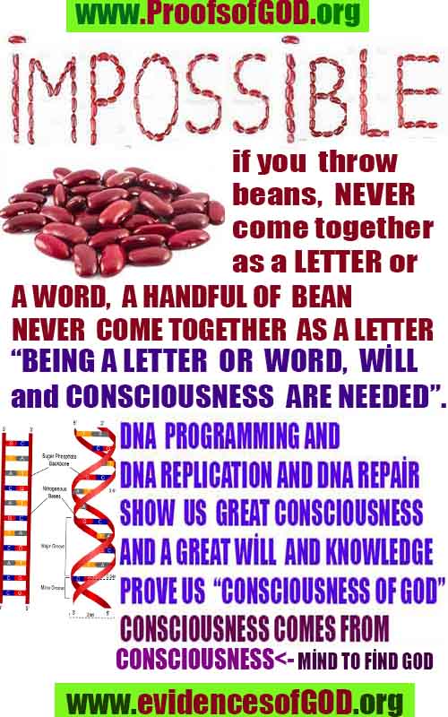 Proofs of god, god-evidences, god-real, god-exists, god-signs, god-proofs, evidences of god