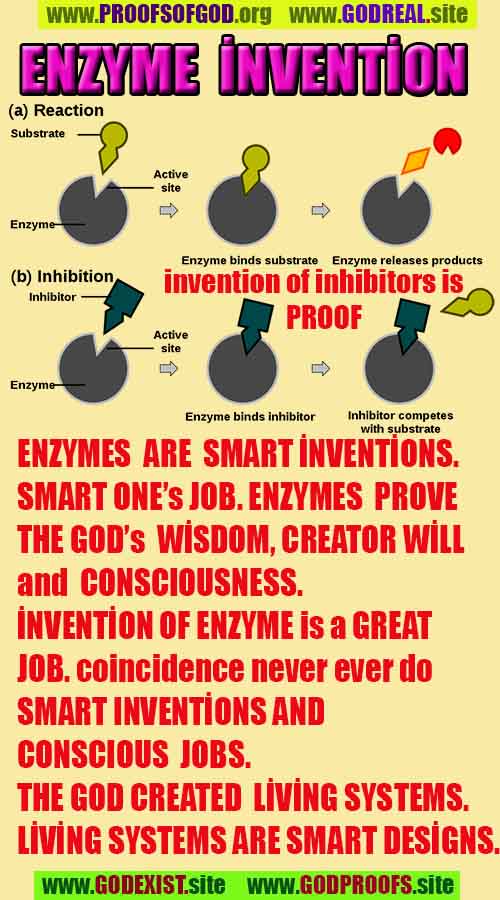 Proofs of god, god-evidences, god-real, god-exists, god-signs, god-proofs, evidences of god