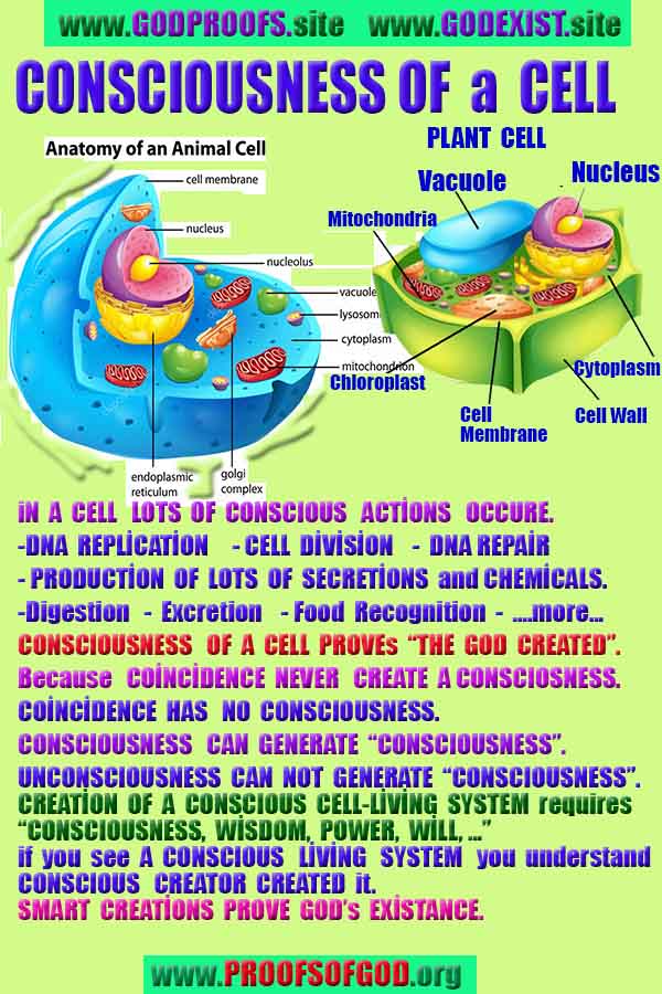 Proofs of god, god-evidences, god-real, god-exists, god-signs, god-proofs, evidences of god