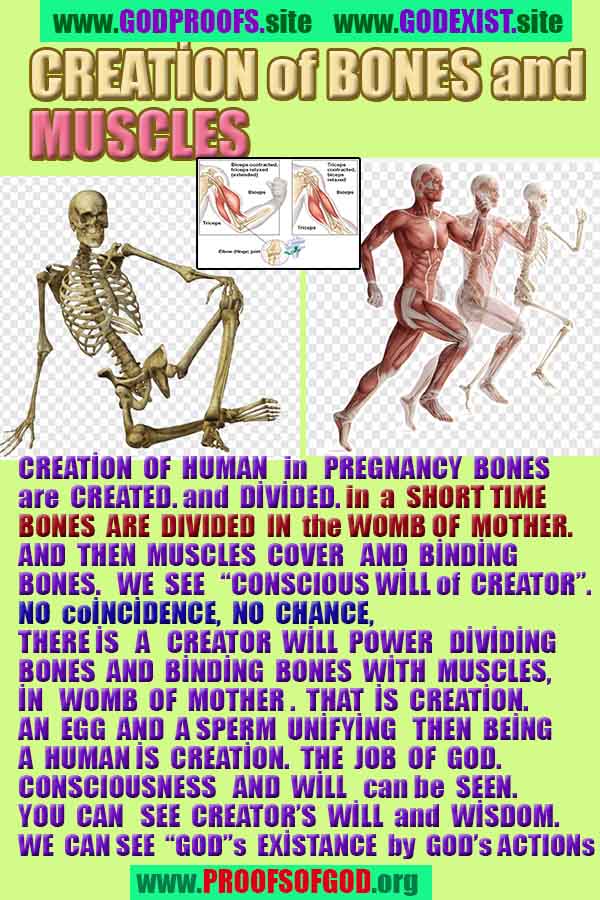 Proofs of god, god-evidences, god-real, god-exists, god-signs, god-proofs, evidences of god