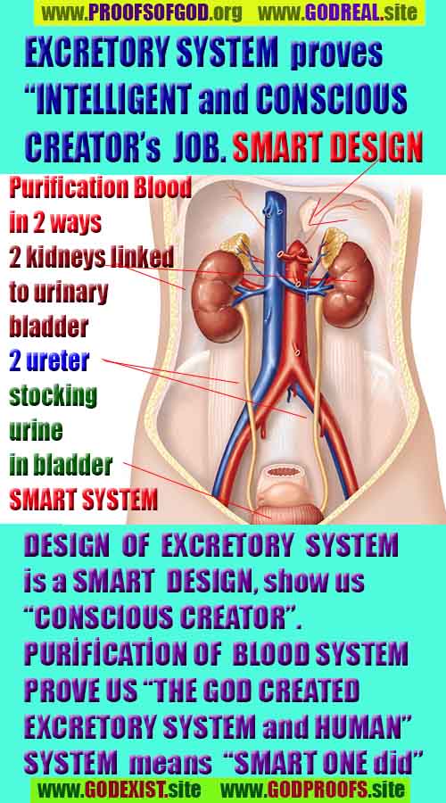 Proofs of god, god-evidences, god-real, god-exists, god-signs, god-proofs, evidences of god