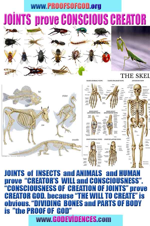 Proofs of god, god-evidences, god-real, god-exists, god-signs, god-proofs, evidences of god