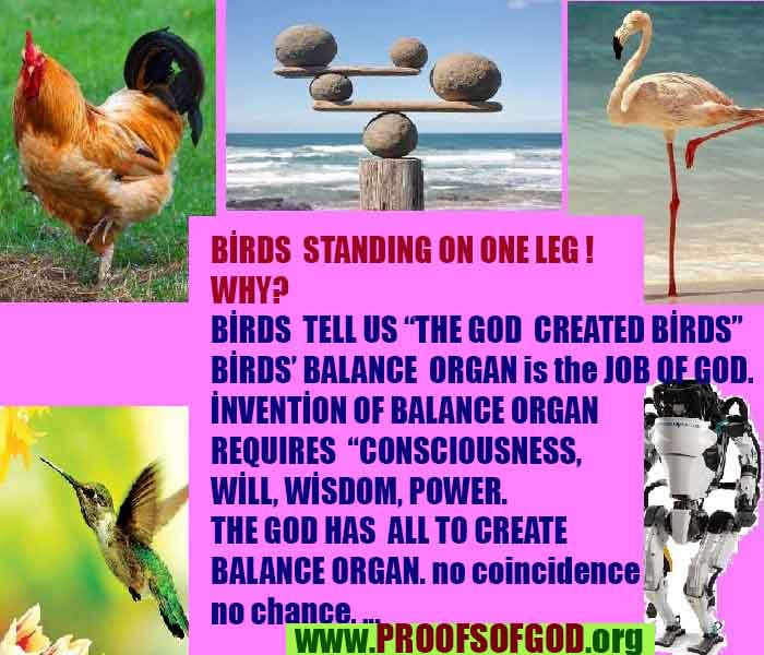 Proofs of god, god-evidences, god-real, god-exists, god-signs, god-proofs, evidences of god