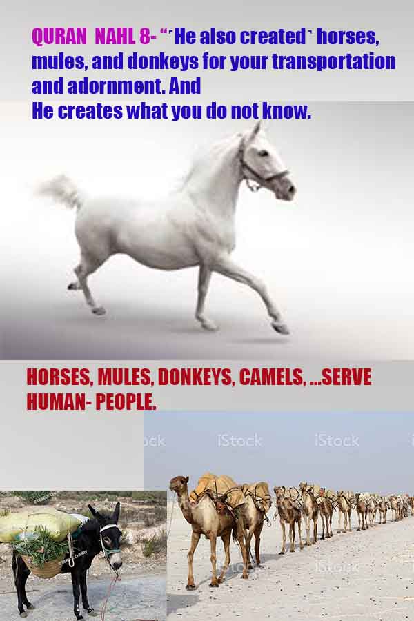 Proofs of god, god-evidences, god-real, god-exists, god-signs, god-proofs, evidences of god