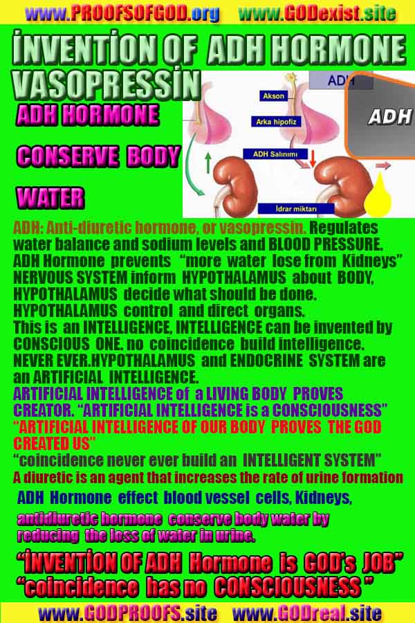 Proofs of god, god-evidences, god-real, god-exists, god-signs, god-proofs, evidences of god