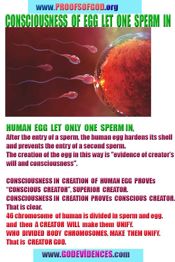 Proofs of god, god-evidences, god-real, god-exists, god-signs, god-proofs, evidences of god
