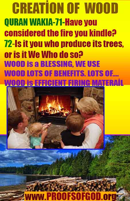 Proofs of god, god-evidences, god-real, god-exists, god-signs, god-proofs, evidences of god
