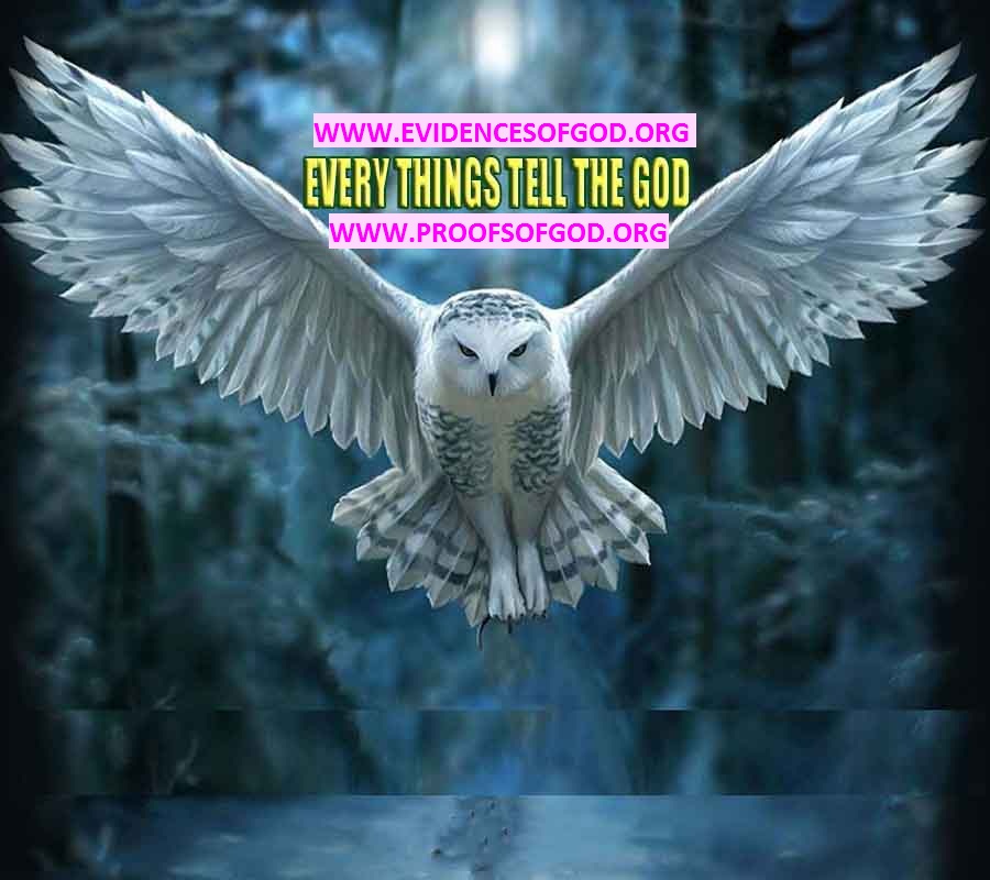Proofs of god, god-evidences, god-real, god-exists, god-signs, god-proofs, evidences of god