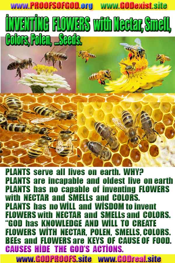 Proofs of god, god-evidences, god-real, god-exists, god-signs, god-proofs, evidences of god
