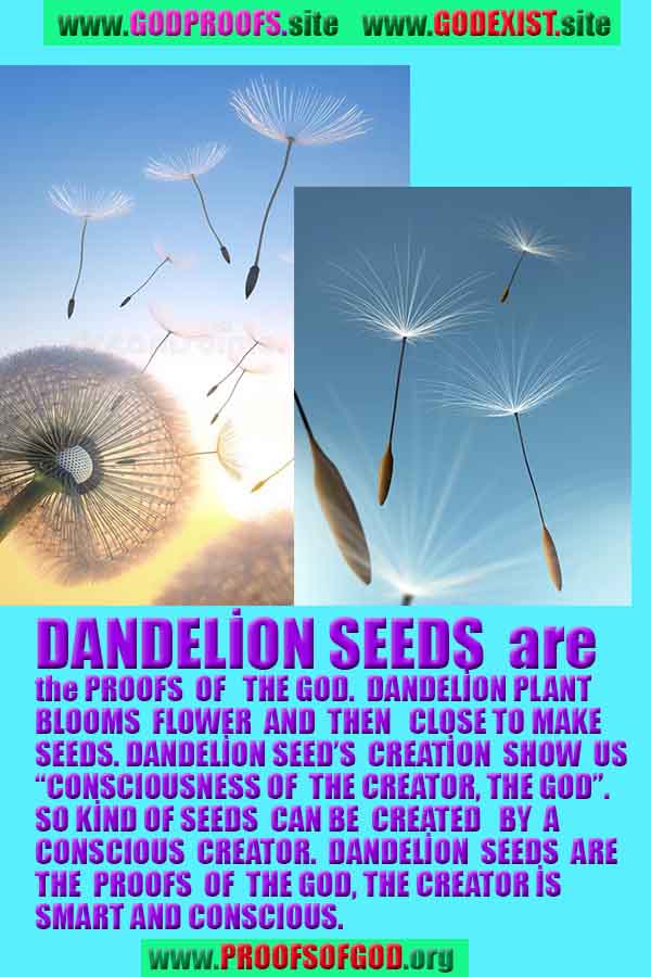 Proofs of god, god-evidences, god-real, god-exists, god-signs, god-proofs, evidences of god