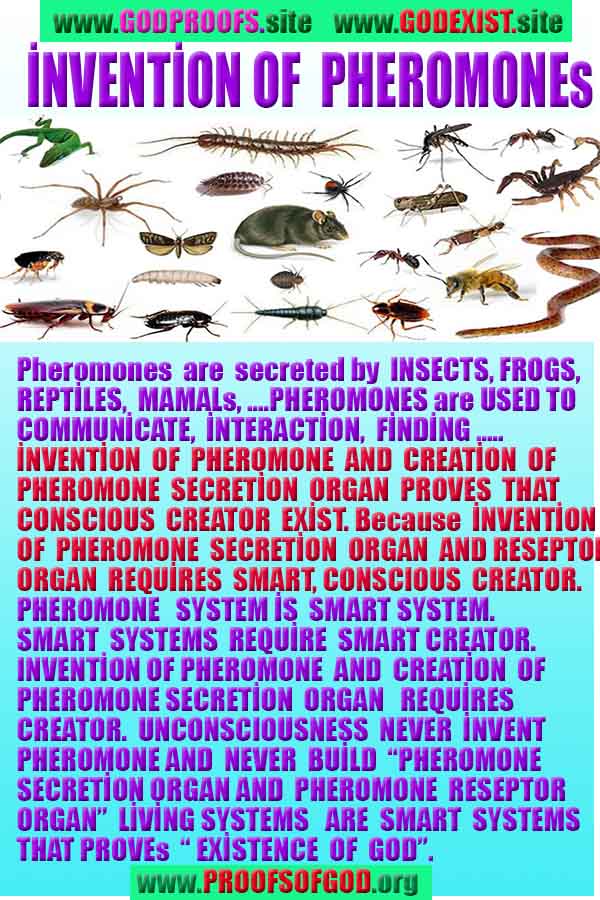 Proofs of god, god-evidences, god-real, god-exists, god-signs, god-proofs, evidences of god