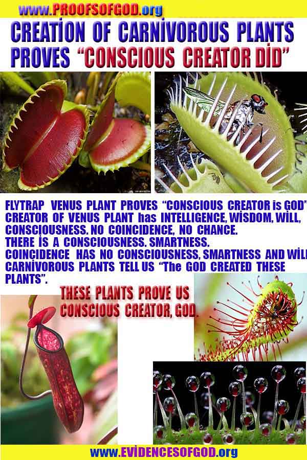 Proofs of god, god-evidences, god-real, god-exists, god-signs, god-proofs, evidences of god