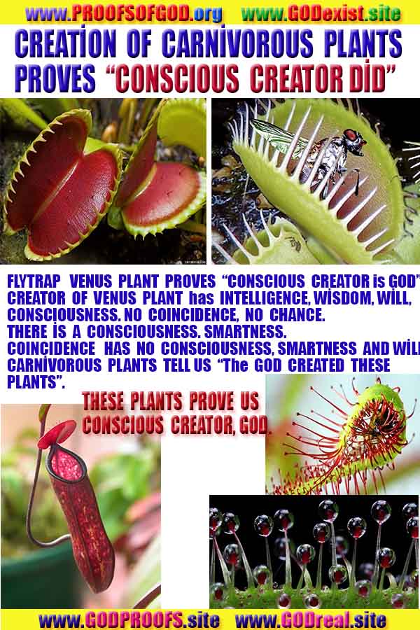 Proofs of god, god-evidences, god-real, god-exists, god-signs, god-proofs, evidences of god
