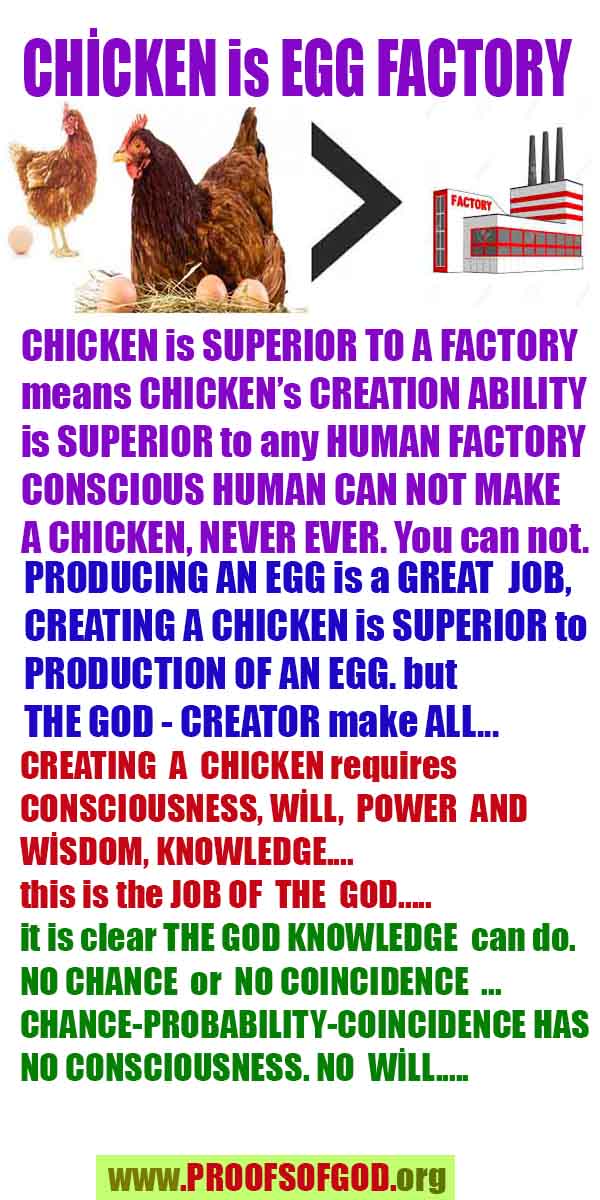Proofs of god, god-evidences, god-real, god-exists, god-signs, god-proofs, evidences of god