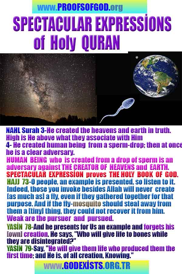 Proofs of god, god-evidences, god-real, god-exists, god-signs, god-proofs, evidences of god
