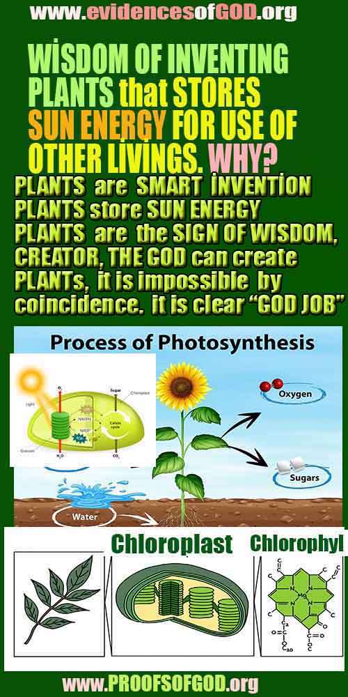 Proofs of god, god-evidences, god-real, god-exists, god-signs, god-proofs, evidences of god