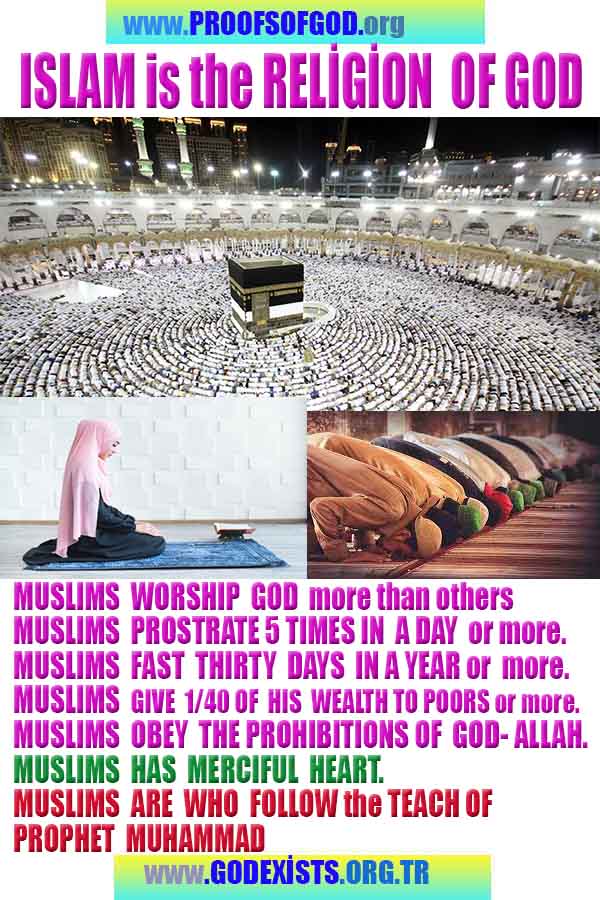 Proofs of god, god-evidences, god-real, god-exists, god-signs, god-proofs, evidences of god